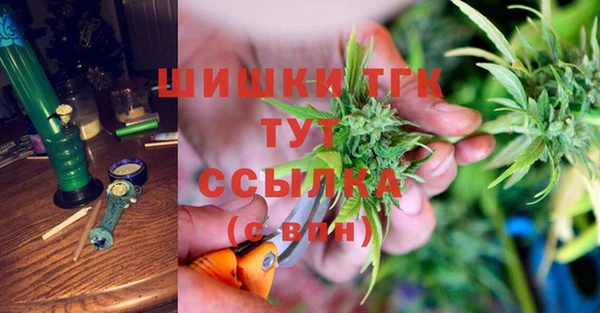 сатива Алексеевка